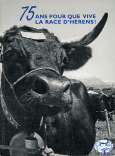 75 ans pour que vive la race d'Hérens